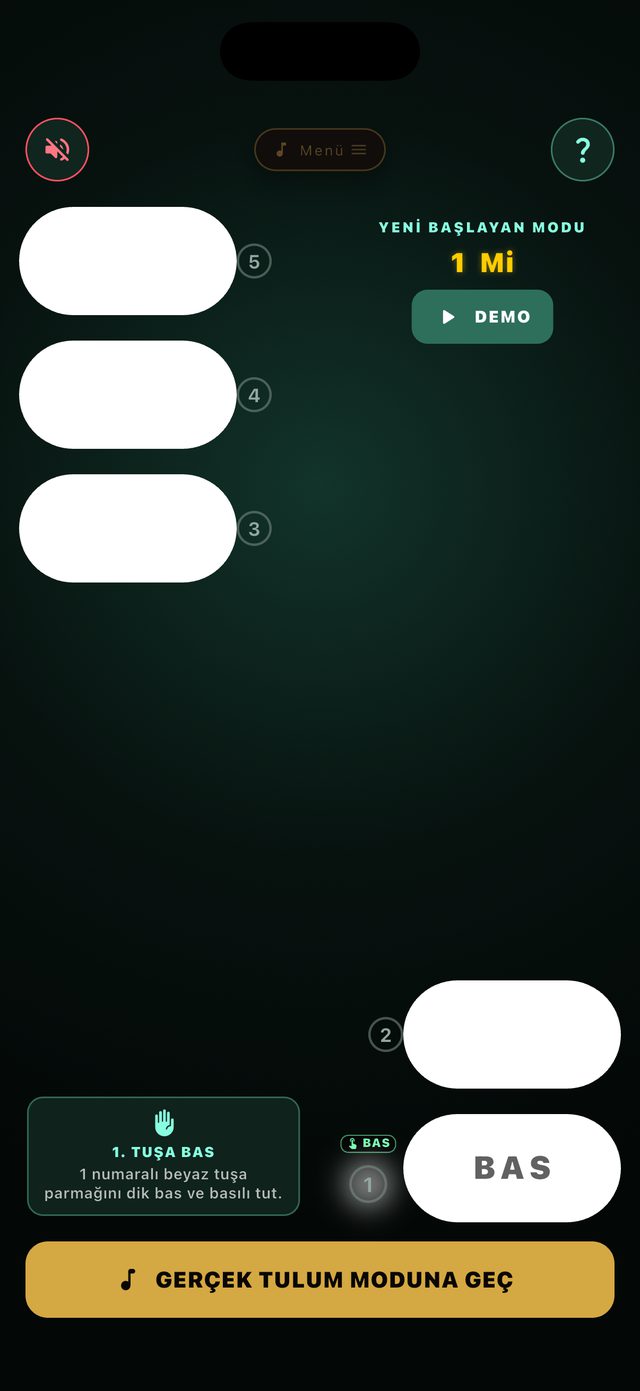Beginner mode: large numbered keys and a prompt telling the player which key to press next.